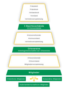 Verbandsstruktur