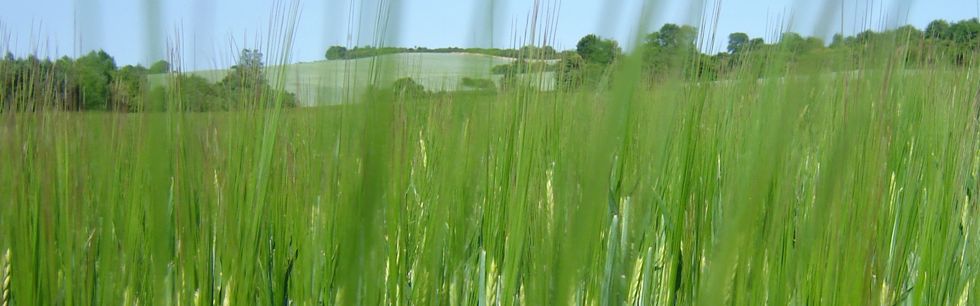 Featured Image-4
